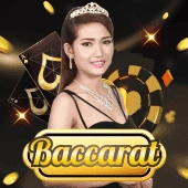 SPINOYZ Live Casino